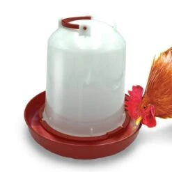 Abreuvoir Poules 6 Litres 5 Abreuvoir Poules 6 Litres -Intexoo Shop abreuvoir poules 6 litres 2