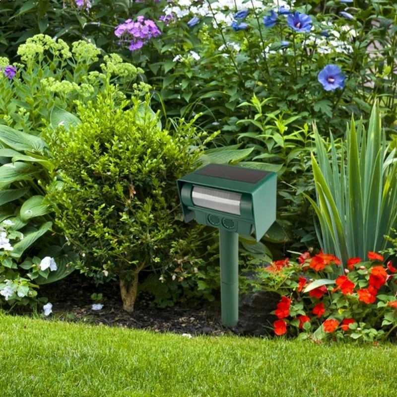 Anti Chat Et Nuisible Solaire à Ultrasons 6 Anti Chat Et Nuisible Solaire à Ultrasons - Image 6