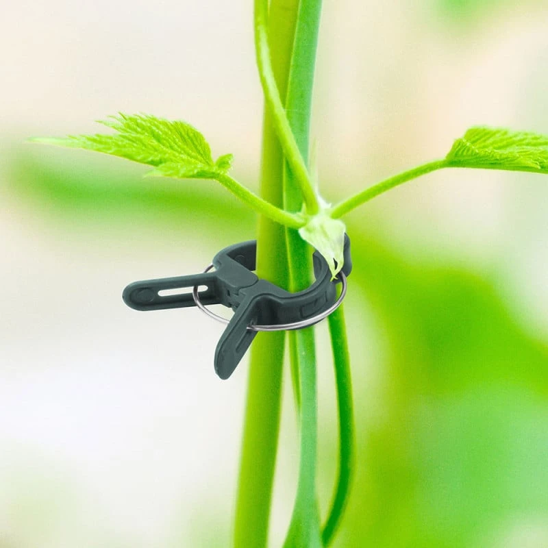 Attaches Plante X 71 - Clips, Fil Et Liens Réglables 5 Attaches Plante X 71 - Clips, Fil Et Liens Réglables - Image 5