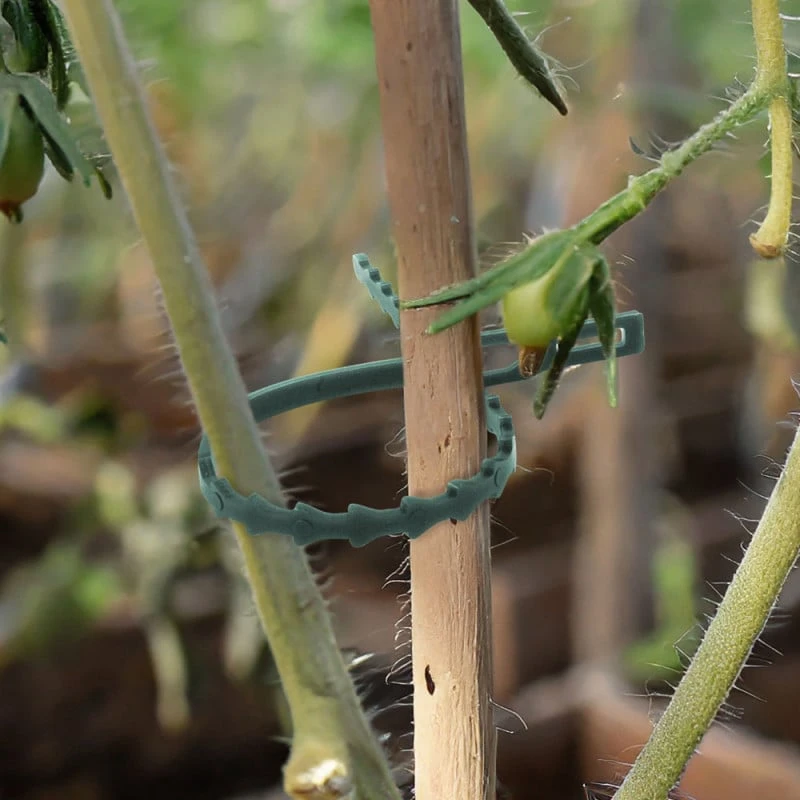 Attaches Plante X 71 - Clips, Fil Et Liens Réglables 6 Attaches Plante X 71 - Clips, Fil Et Liens Réglables - Image 6