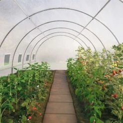 Bâche De Rechange Pour Serre Tunnel Blanche -Intexoo Shop bache rechange serre tunnel blanc transparente 6m 18m 24m 3