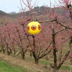 Ballon Effaroucheur D'oiseaux X2 10 Ballon Effaroucheur D'oiseaux X2 -Intexoo Shop ballon effaroucheur oiseaux 4