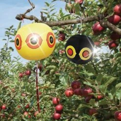 Ballon Effaroucheur D'oiseaux X2 11 Ballon Effaroucheur D'oiseaux X2 -Intexoo Shop ballon effaroucheur oiseaux 5