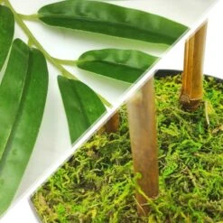 Bambou Artificiel Réaliste -Intexoo Shop bambou artificiel 3