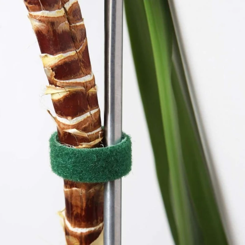 Bande Scratch Agrippante 5 Mètres 3 Bande Scratch Agrippante 5 Mètres - Image 3