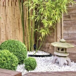 Barrière Anti Rhizome, Racines, Bambous Rouleau De 5 Mètres -Intexoo Shop barriere anti rhizome racine bambou 5 m x 60 cm 800 mg 3