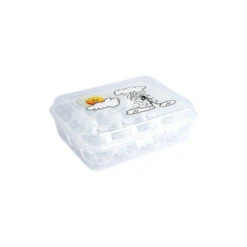 Boite à Oeufs En Plastique 12 œufs 5 Boite à Oeufs En Plastique 12 œufs -Intexoo Shop boite a oeufs plastique 2