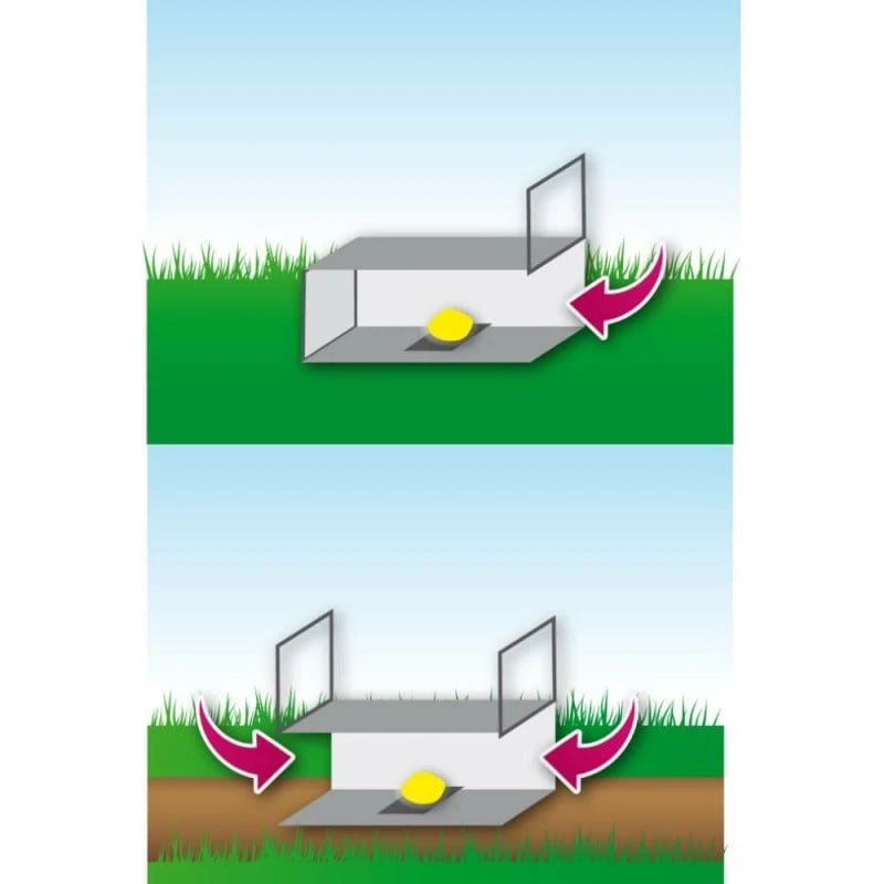 Cage à Nuisibles Double Entrée Petit Modèle 6 Cage à Nuisibles Double Entrée Petit Modèle - Image 6