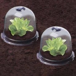 Cloches à Salades Plastique - Lot De 6 10 Cloches à Salades Plastique - Lot De 6 -Intexoo Shop cloche a salade melon victorienne plastique transparent 4