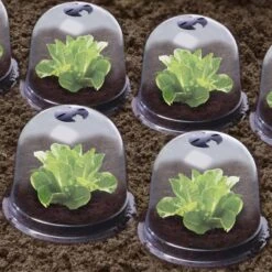 Cloches à Salades Plastique - Lot De 6 11 Cloches à Salades Plastique - Lot De 6 -Intexoo Shop cloche a salade melon victorienne plastique transparent 5