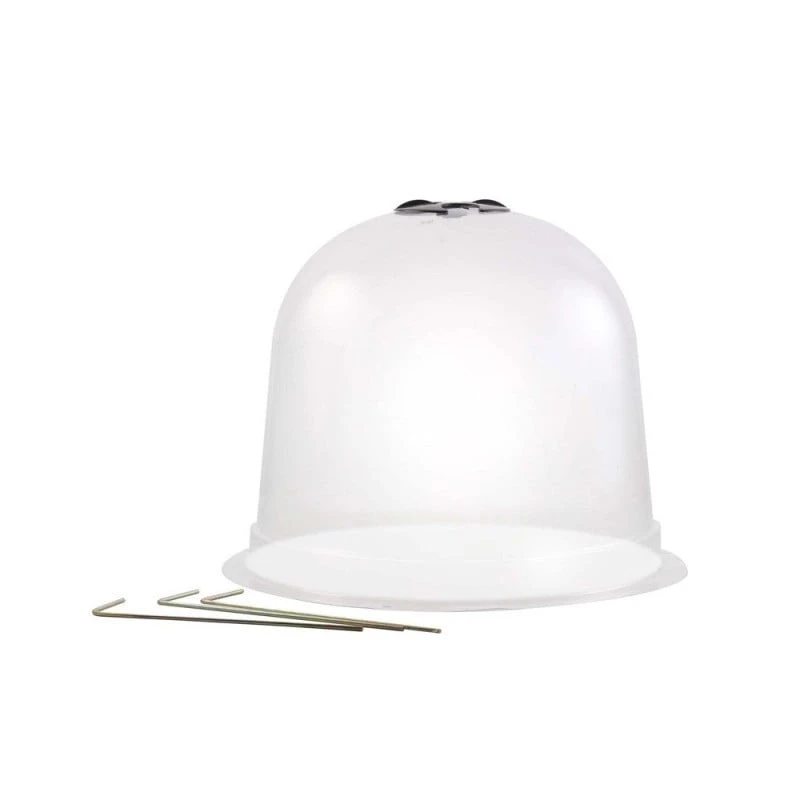 Cloches à Salades Plastique - Lot De 72 2 Cloches à Salades Plastique - Lot De 72 - Image 2