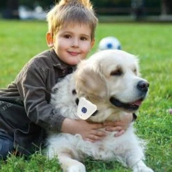 Collier Anti Aboiements à Ultrasons 5 Collier Anti Aboiements à Ultrasons -Intexoo Shop collier anti aboiements a ultrasons 2