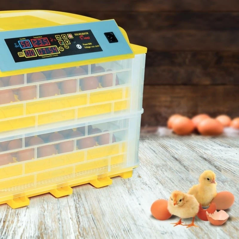 Couveuse Automatique - 112 Oeufs 5 Couveuse Automatique - 112 Oeufs - Image 5
