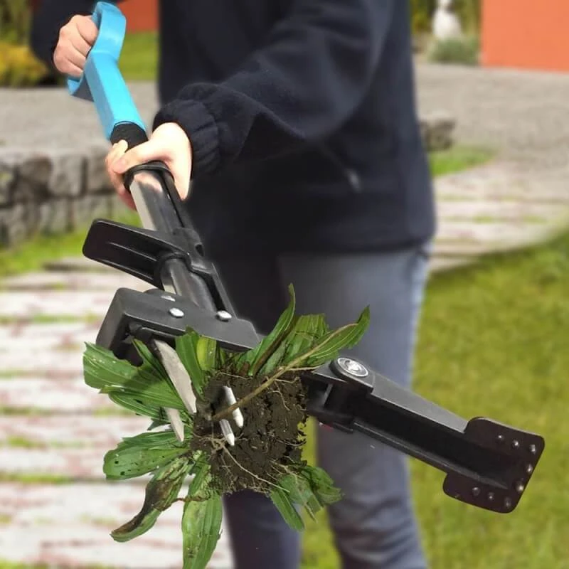 Désherbeur Manuel 4 Griffes Aluminium RootKiller 6 Désherbeur Manuel 4 Griffes Aluminium RootKiller - Image 6