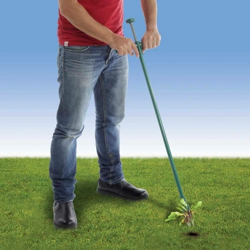 Désherbeur Manuel Arrache Racines 6 Désherbeur Manuel Arrache Racines - Image 6