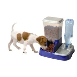 Distributeur De Croquettes Pour Chien Et Chat 10 Distributeur De Croquettes Pour Chien Et Chat -Intexoo Shop distributeur de croquettes chien chat 4