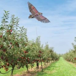 Effaroucheur D'oiseaux Cerf Volant Faucon -Intexoo Shop epouvantail effaroucheur d oiseaux cerf volant 8