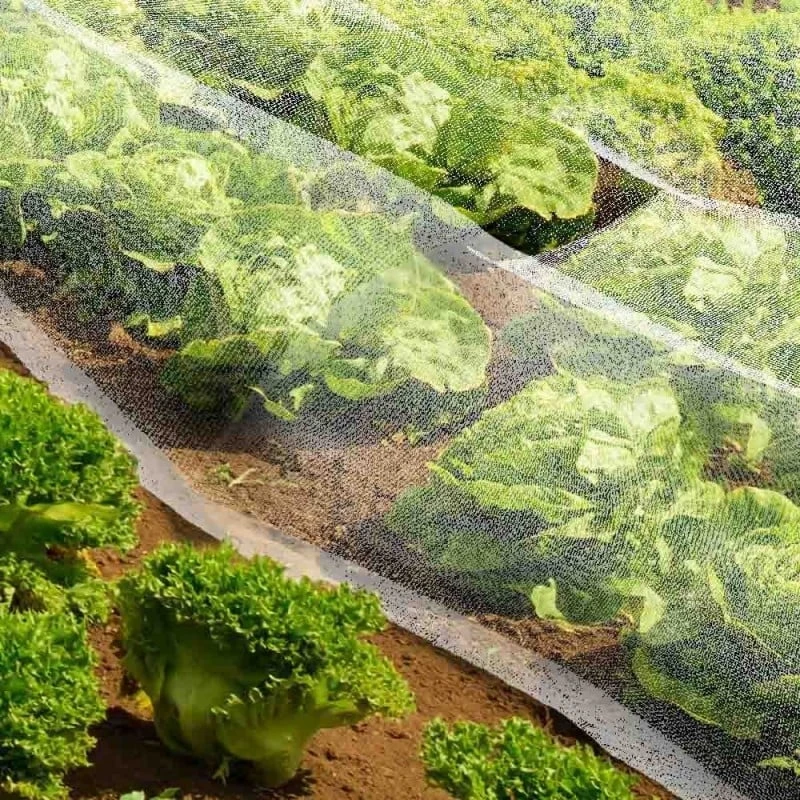 Filet Anti Insectes 1 Filet Anti Insectes