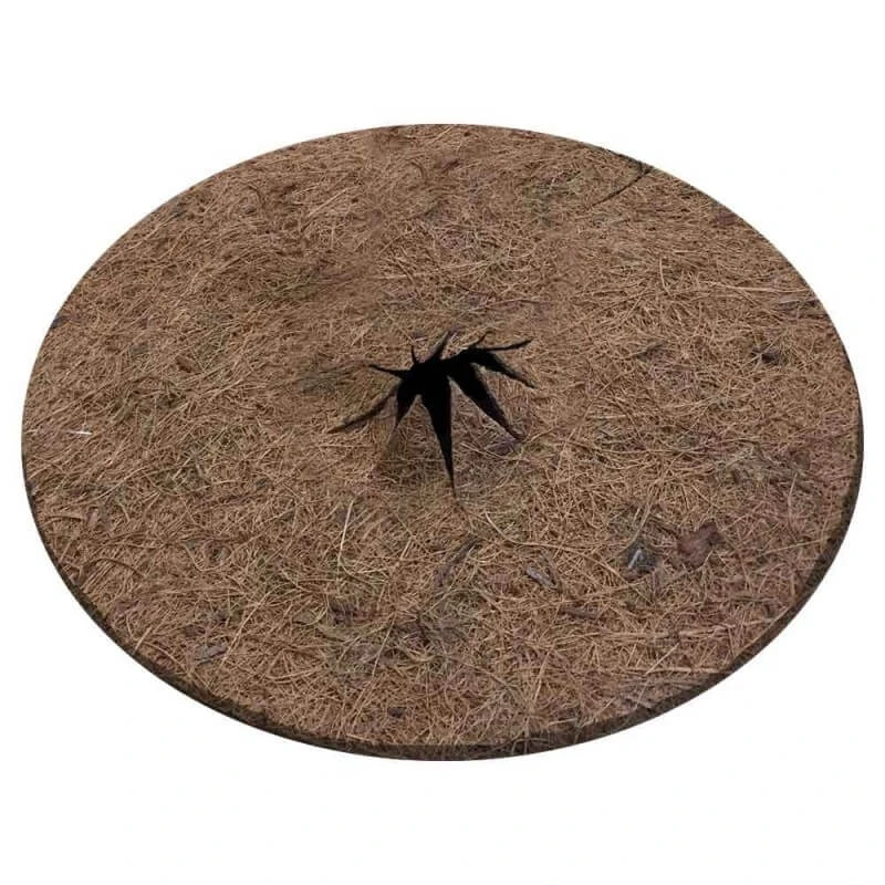 Lot De 2 Disques De Paillage Coco Fibres Naturelles 1 Lot De 2 Disques De Paillage Coco Fibres Naturelles