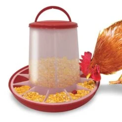 Mangeoire Pour Poules -Intexoo Shop mangeoire pour poules 2