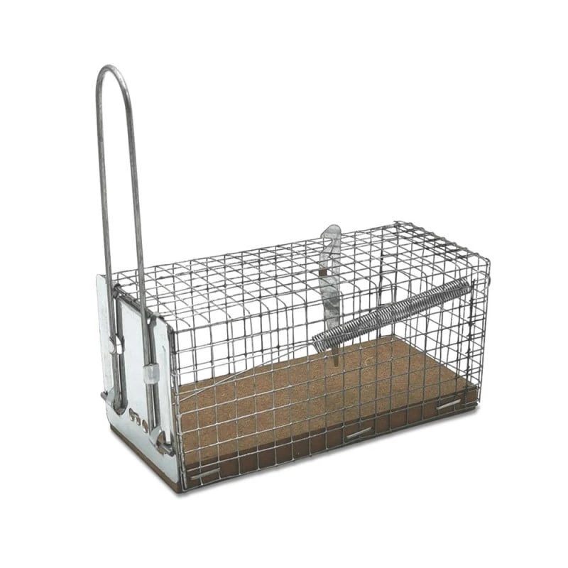 Nasse / Piège à Souris 2 Nasse / Piège à Souris - Image 2