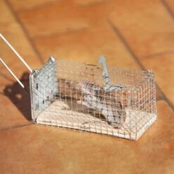 Nasse / Piège à Souris 9 Nasse / Piège à Souris -Intexoo Shop nasse a souris 4