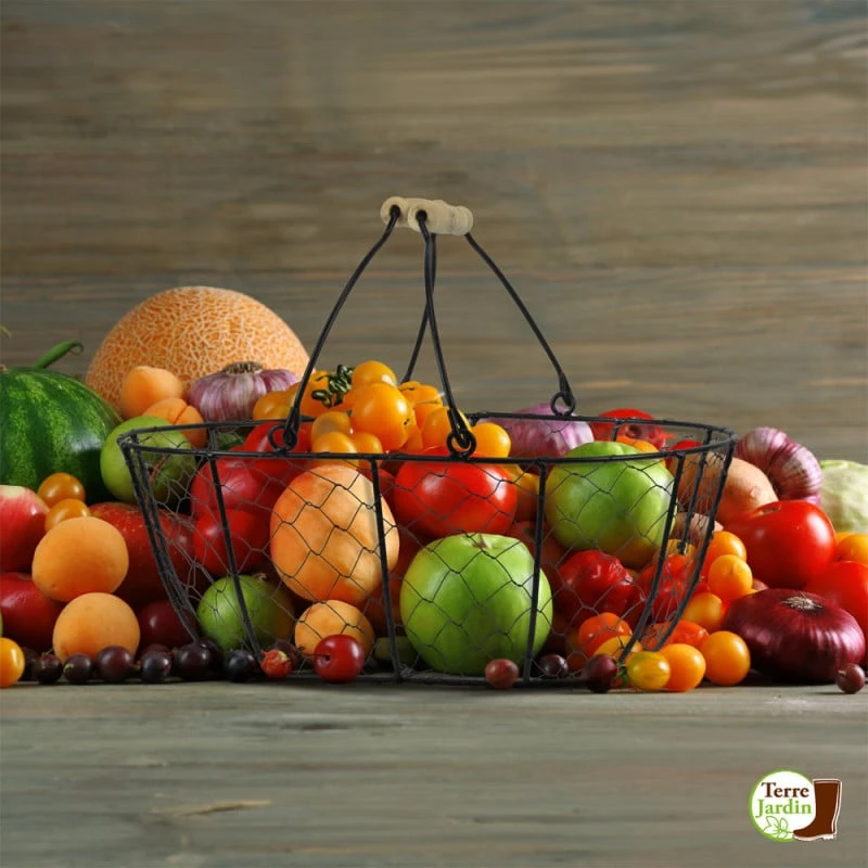 Panier De Récolte En Métal Noir Et Poignées Bois 8L 4 Panier De Récolte En Métal Noir Et Poignées Bois 8L - Image 4
