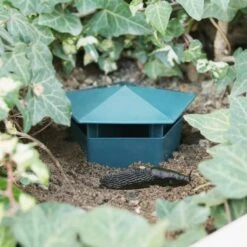 Piège à Limace X2 -Intexoo Shop piege a limaces 3