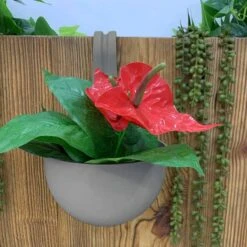 Pot De Fleur à Accrocher -Intexoo Shop pot de fleur a accrocher 9