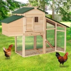 Poulailler Bois Avec Pondoir -Intexoo Shop poulailler bois avec pondoir 172 x 110 x 64 cm 8