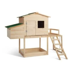 Poulailler Bois Avec Pondoir Et Balançoire