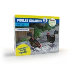 Poule Solaire - X 2 -Intexoo Shop poule solaire x2 2