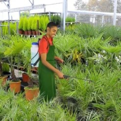 Pulvérisateur à Dos 12 Litres 6 Pulvérisateur à Dos 12 Litres -Intexoo Shop pulverisateur a dos 12 litres 2