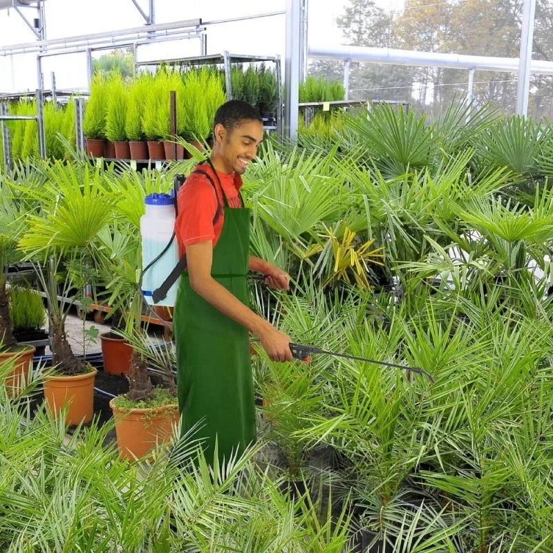 Pulvérisateur à Dos 12 Litres 3 Pulvérisateur à Dos 12 Litres - Image 3