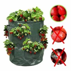 Sac à Fraisiers - Sac De Plantation Pour Fraises - X2 10 Sac à Fraisiers - Sac De Plantation Pour Fraises - X2 -Intexoo Shop sac a fraisiers sac de plantation pour fraises lot de 2 4