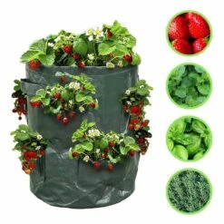 Sac à Fraisiers - Sac De Plantation Pour Fraises - X2 11 Sac à Fraisiers - Sac De Plantation Pour Fraises - X2 -Intexoo Shop sac a fraisiers sac de plantation pour fraises lot de 2 5