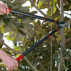 Kit Sécateur Télescopique, Taille Haie Et Sécateur à Main 11 Kit Sécateur Télescopique, Taille Haie Et Sécateur à Main -Intexoo Shop secateur telescopique taille haie secateur a main kit de jardinage complet 4