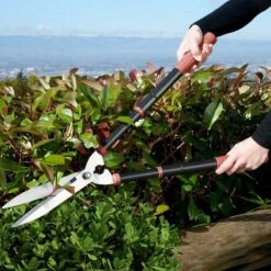 Kit Sécateur Télescopique, Taille Haie Et Sécateur à Main 12 Kit Sécateur Télescopique, Taille Haie Et Sécateur à Main -Intexoo Shop secateur telescopique taille haie secateur a main kit de jardinage complet 5