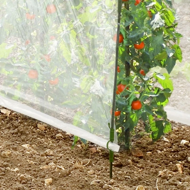 Serre à Tomates Avec Bâche 4 Serre à Tomates Avec Bâche - Image 4