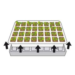 Kit De Germination Pour Semis -Intexoo Shop serre kit de germination semis 40 godets 4