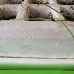 Kit De Germination Pour Semis -Intexoo Shop serre kit de germination semis 40 godets 8