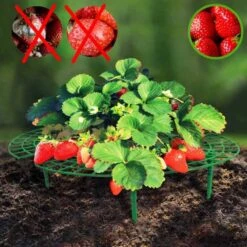 Support Fraisier - Lot De 5 12 Support Fraisier - Lot De 5 -Intexoo Shop support fraisier 5