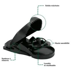 Tapette à Souris X 4 -Intexoo Shop tapette a souris x 4 3