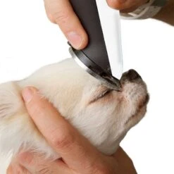 Tondeuse Pour Chien 6 Tondeuse Pour Chien -Intexoo Shop tondeuse pour chien animaux domestiques 2