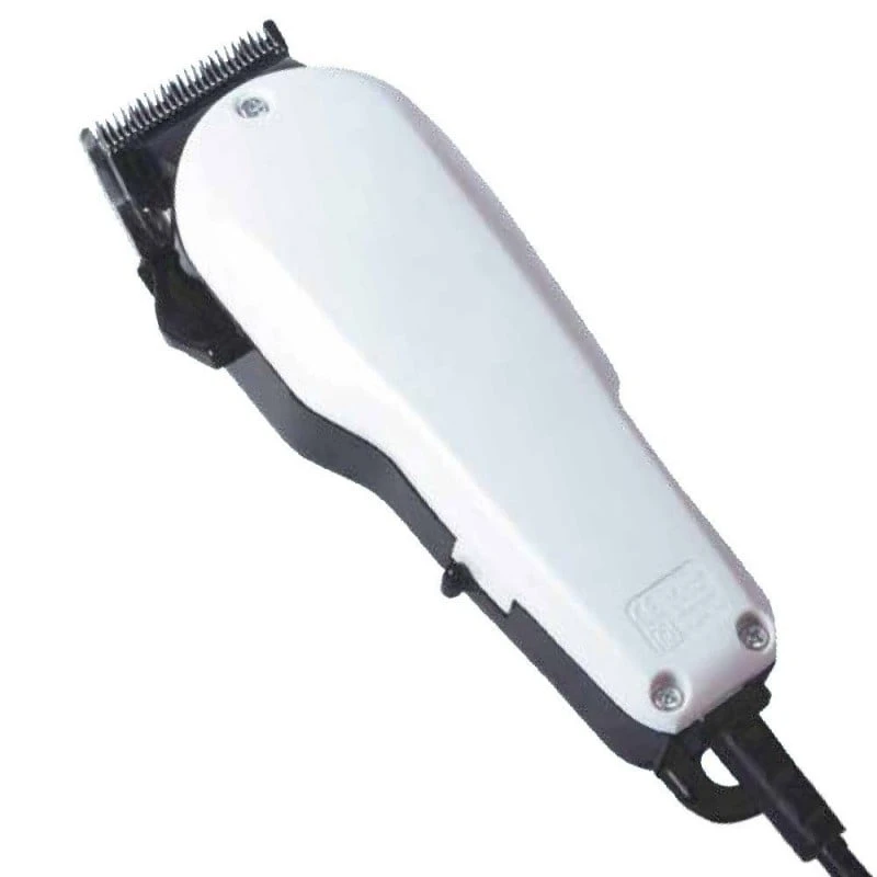 Tondeuse Pour Chien 1 Tondeuse Pour Chien