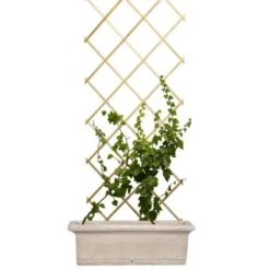 Treillis En Bois Pour Plantes Grimpantes 6 Treillis En Bois Pour Plantes Grimpantes -Intexoo Shop treillis bois clair plantes grimpantes 2