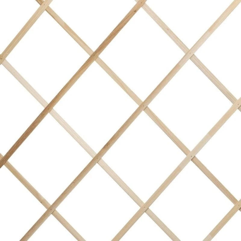 Treillis En Bois Pour Plantes Grimpantes 1 Treillis En Bois Pour Plantes Grimpantes