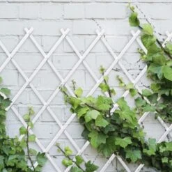 Treillis En Plastique Pour Plantes Grimpantes 9 Treillis En Plastique Pour Plantes Grimpantes -Intexoo Shop treillis en plastique pour plantes grimpantes 4