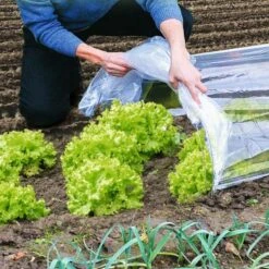 Tunnel De Forçage Accordéon Souple 4 Mètres 6 Tunnel De Forçage Accordéon Souple 4 Mètres -Intexoo Shop tunnel forcage accordeon transparent souple 4m 2