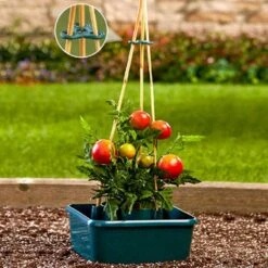 Réservoir Pour Tomates Avec Socle à Tuteur 7 Réservoir Pour Tomates Avec Socle à Tuteur -Intexoo Shop tuteur ecologique a tomates avec reservoir d eau 3
